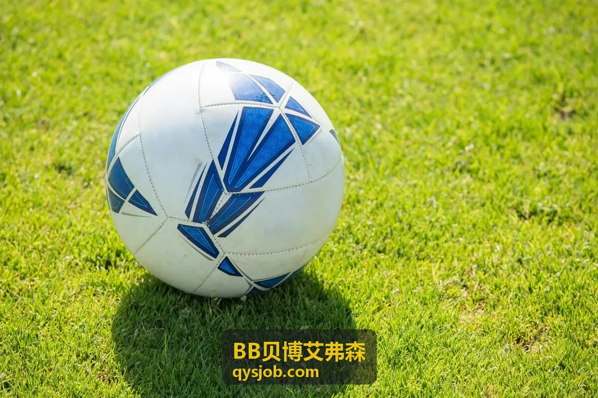 BB贝博艾弗森策略定制